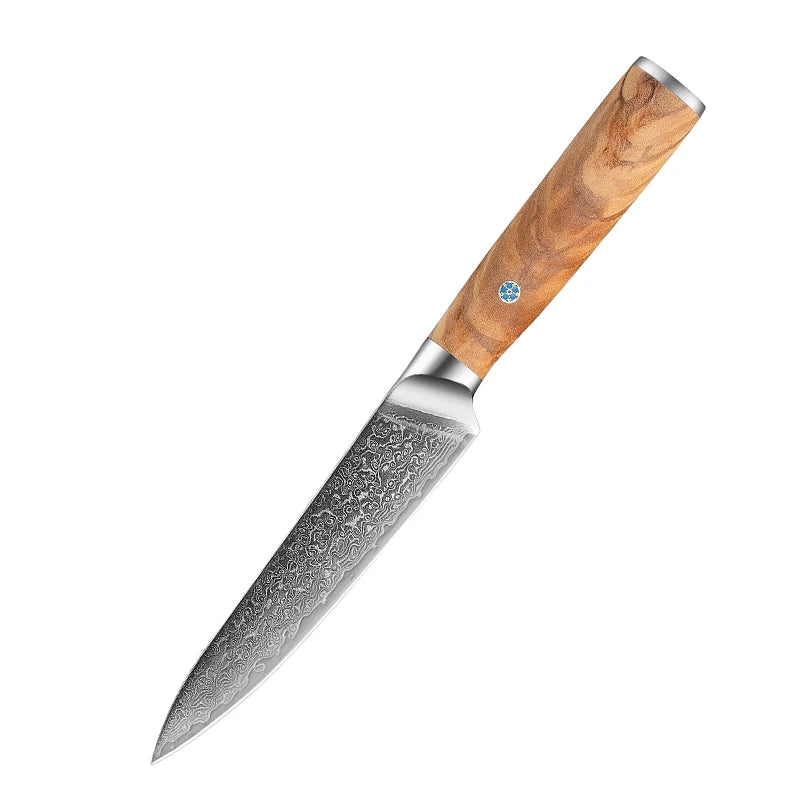 Professional Damascus 8inch Chef Knife Set VG10 Steel With Kiritsuke Santoku Paring
