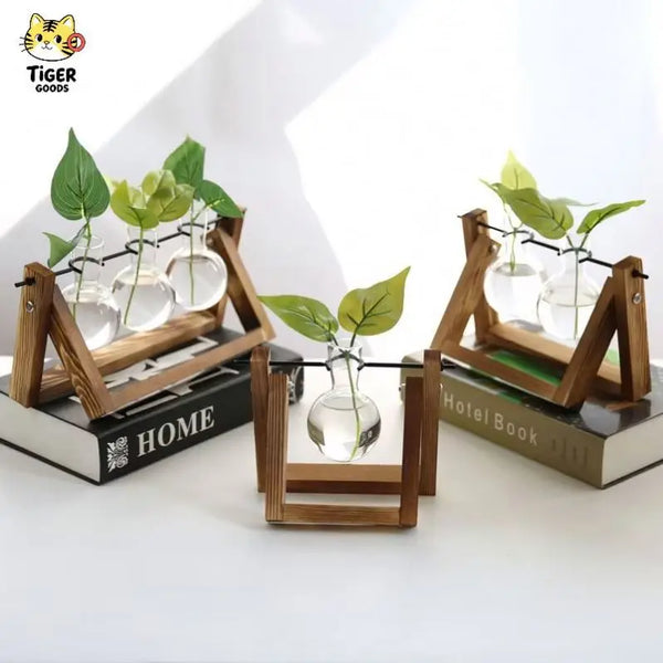 Dropship Indoor Hydroponics Plant Propagation Station Terrarium Wooden Stand Desktop Air