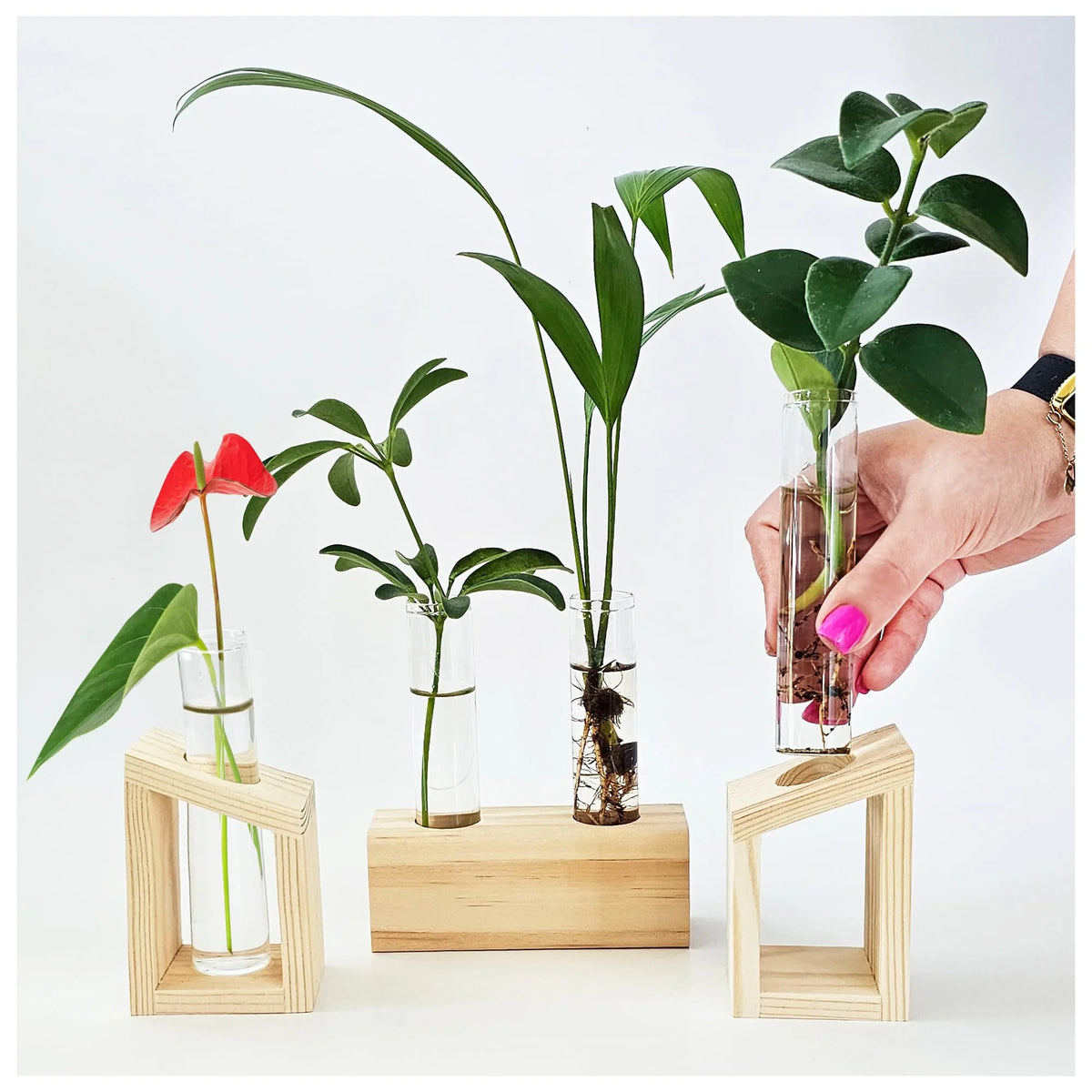 Plant Propagation Station 3-Piece Wooden Stand with 4 Glass Test Tubes Terrarium Vases
