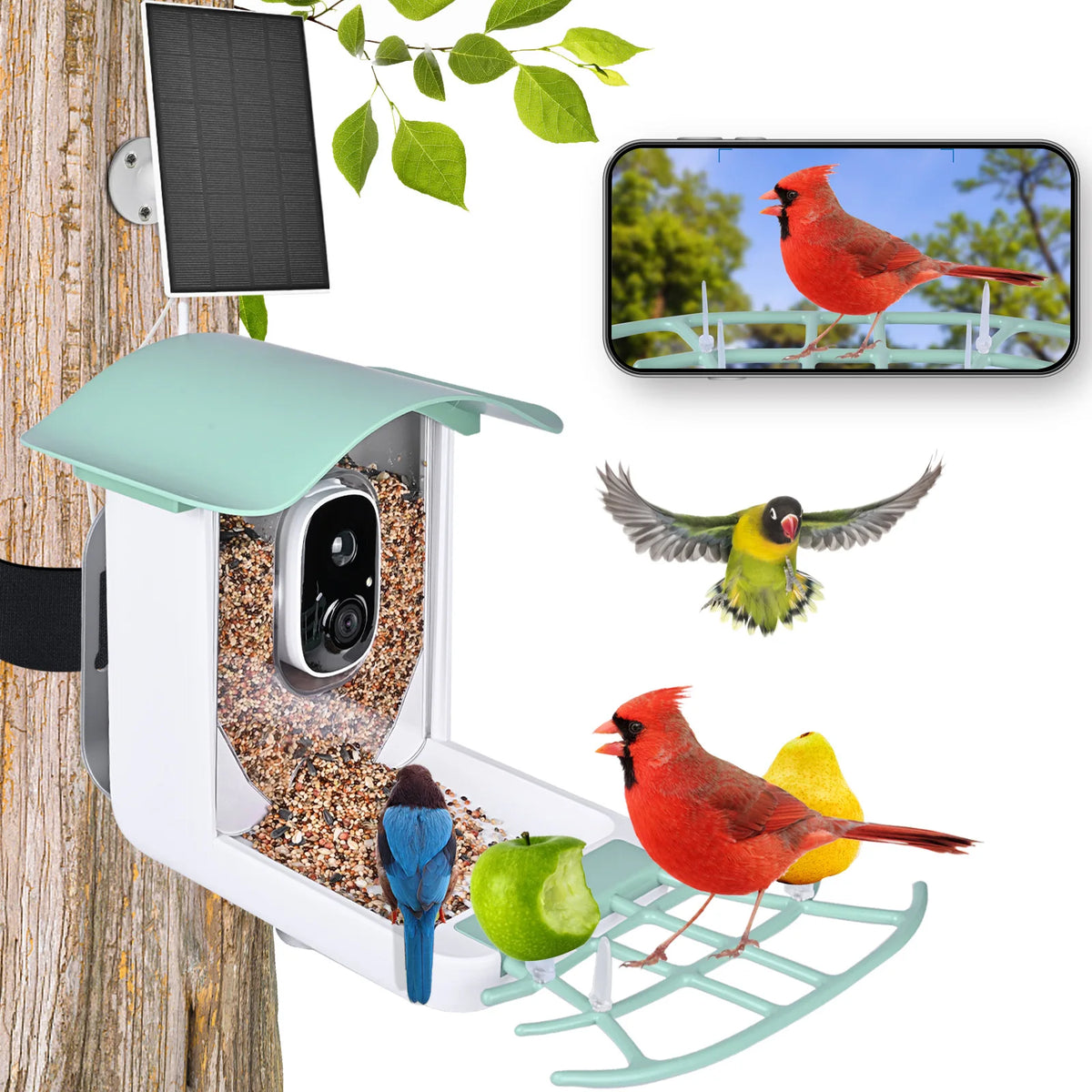 A Solar Powered 4K High Resolution AI Camera Wild Bird Feeder Smart Window Bird Feeder