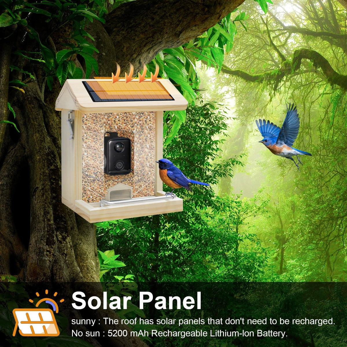 Smart Wooden Bird Feeder with Camera Waterproof Bird Camera with Solar Panel AI