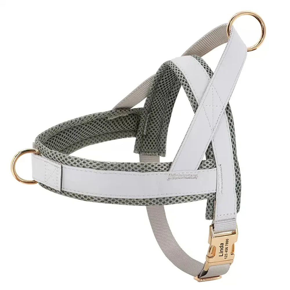 Fashion Dog Vest Harness No Pull Nylon Adjustable Mesh Padded Pet Harness and Leash Set