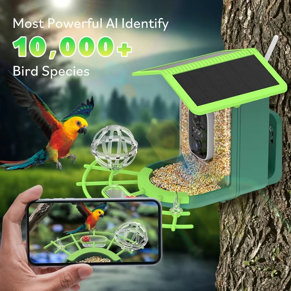 Solar Powered Smart Bird Feeder with HD WiFi Camera AI Bird Recognition Outdoor Automatic