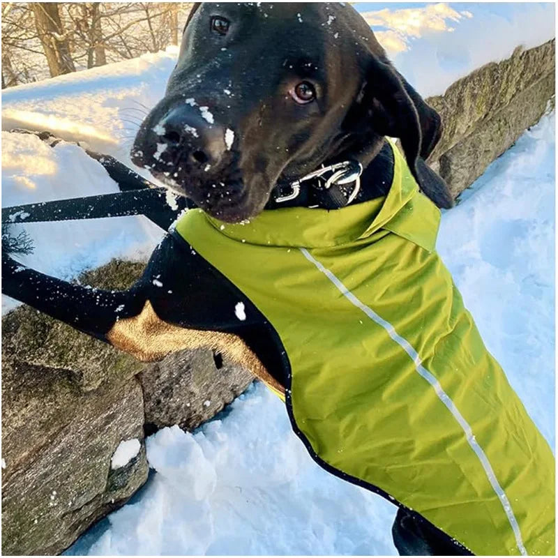 Lightweight Polyester Pet Rain Jacket for All Seasons