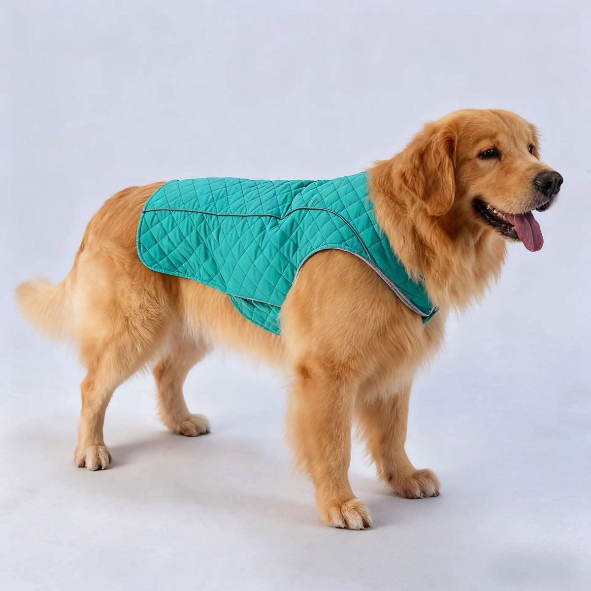 Pet Winter Big Dog Clothes Thickened Warm Polyester Casual Style Cotton-Padded Coat