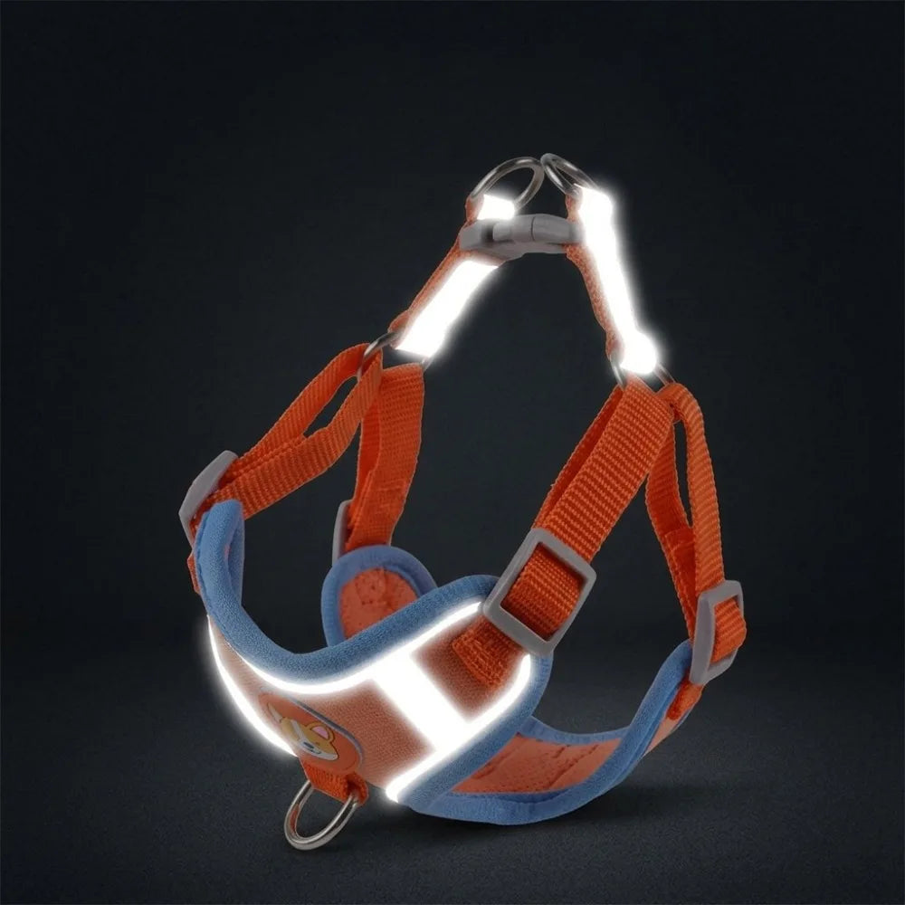 Luxury Adjustable No Pull Nylon Dog Harness Soft Padded Vest Style Pet Harness for Daily