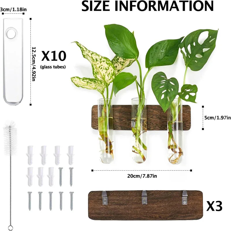 Wall Hanging Propagation Station With Wooden Stand Glass Test Tubes for Home Office Plant