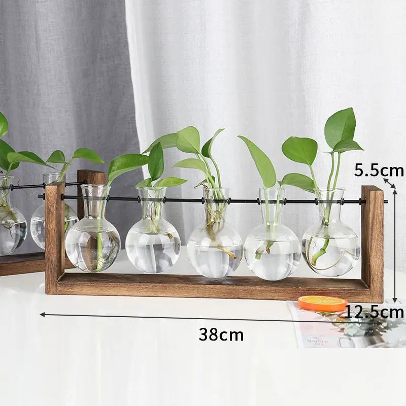 Plant Propagation Station Plant Terrarium with Wooden Stand for Plant Lovers Home Office