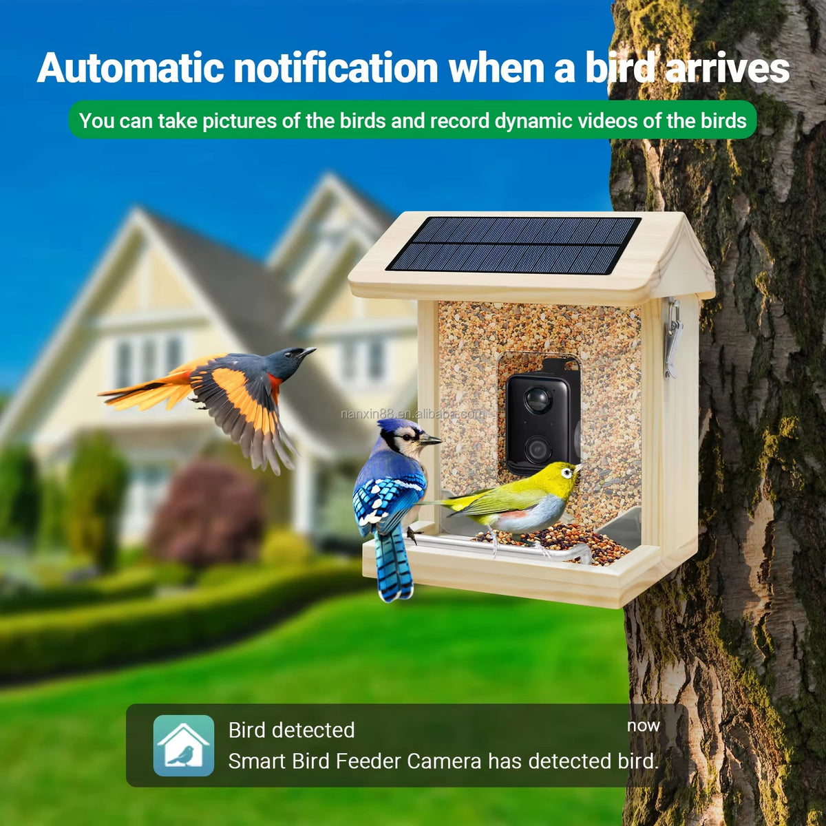 Smart Wooden Bird Feeder with Camera Waterproof Bird Camera with Solar Panel AI