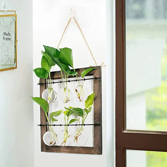 Dropship Double Layer Wall Hanging Glass Planter Propagate Station With 6 Bulb Vase Retro