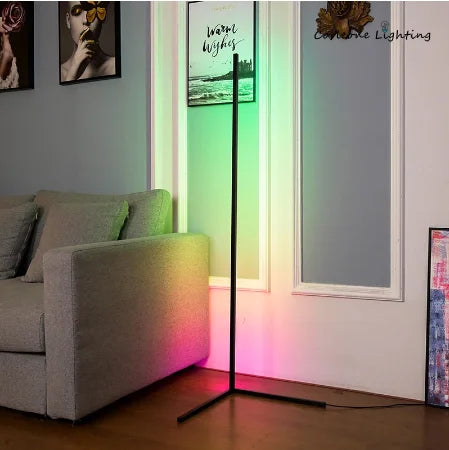 Dimmable Floor Lamp Modern RGB Remote Control LED Floor Standing Lamp Corner Light