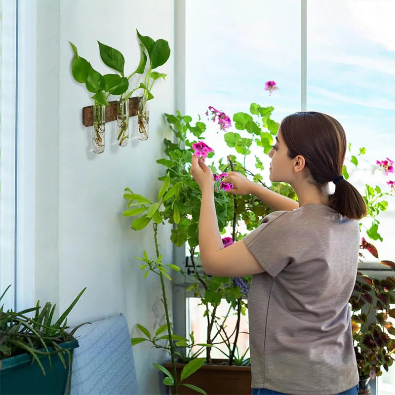 Wall Hanging Propagation Station With Wooden Stand Glass Test Tubes for Home Office Plant