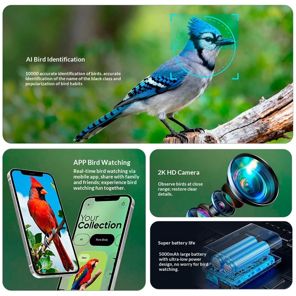 New Smart Bird Feeder Camera 2K Ultra HD AI Bird Recognition Outdoor Solar-Powered