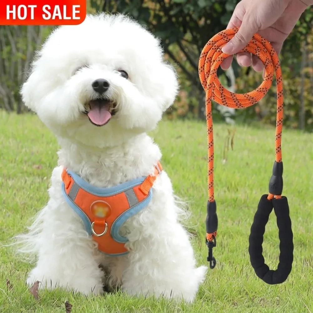 Luxury Adjustable No Pull Nylon Dog Harness Soft Padded Vest Style Pet Harness for Daily