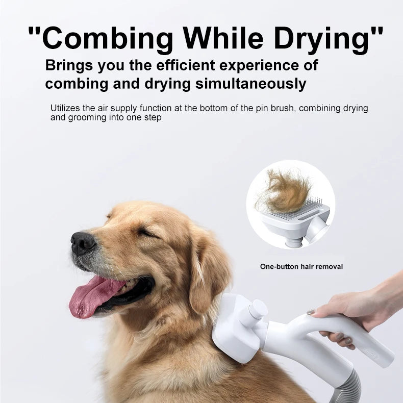 Electrique Professional Dog Hair Remover Cleaner Pet Grooming Vaccum Kit With Vacuum