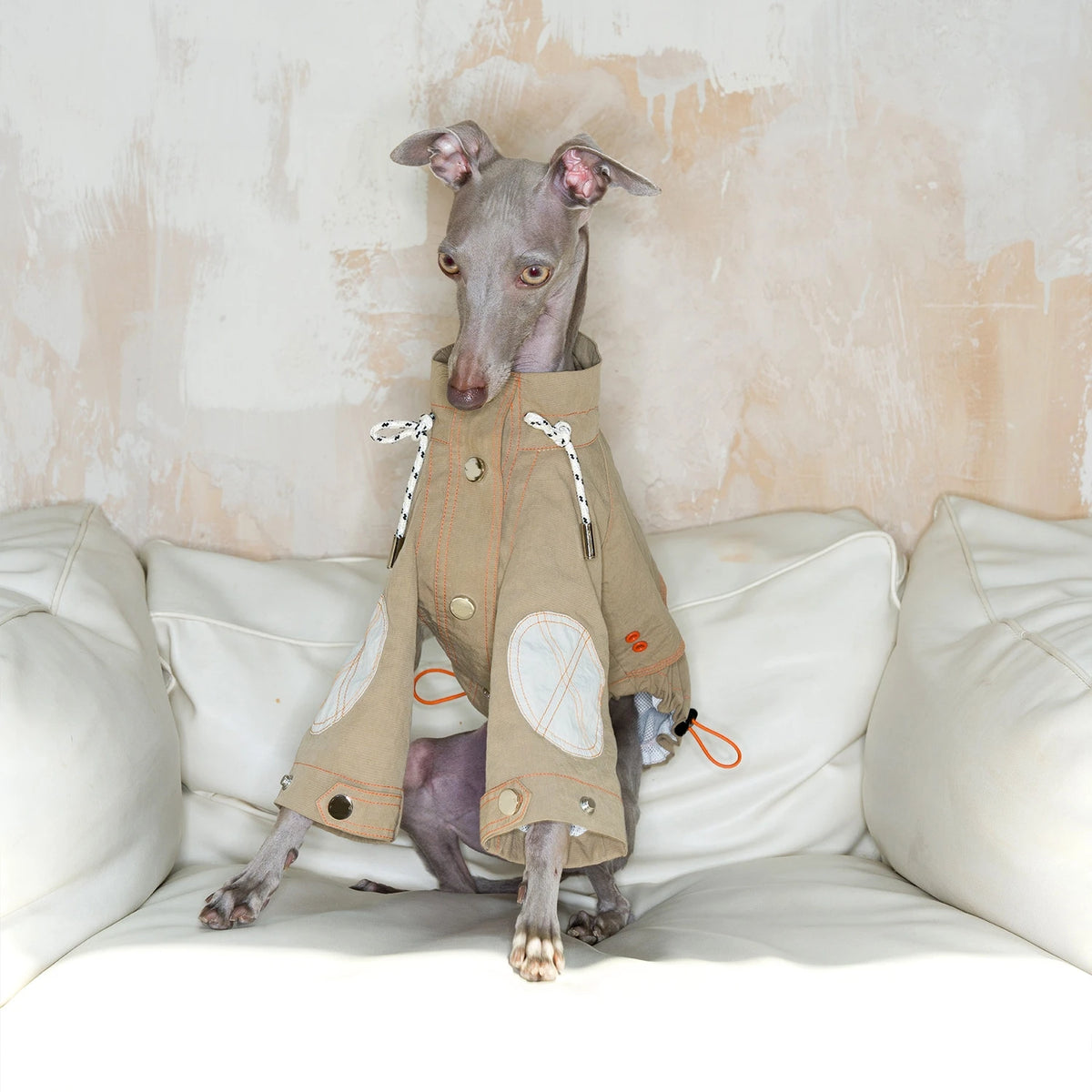 Retro Waterproof Cotton Dog & Cat Raincoat Windbreaker High Collar Adjustable Lightweight