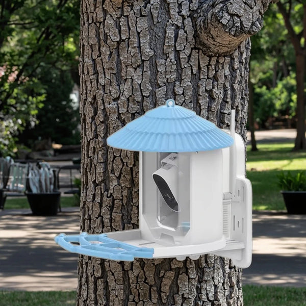 Automatic Smart Solar & Battery Powered Bird Feeder IPx6 Waterproof with Night Vision 4MP