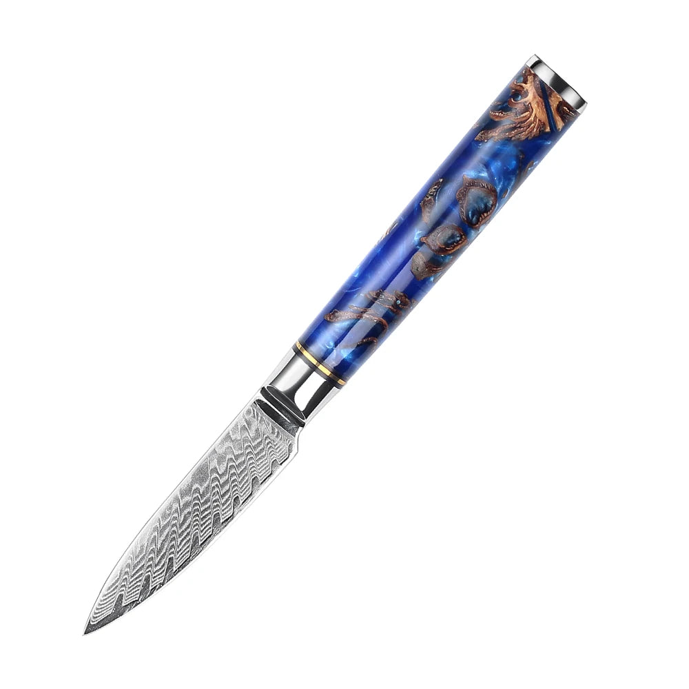Professional 9PCS Japanese Damascus Steel Chef Knife Set 67 Layers VG10 Core Pinecone