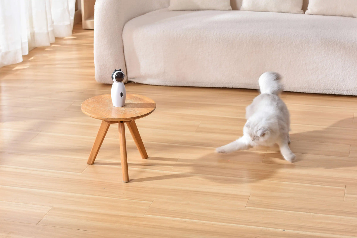 Modern Laser Cats Toy USB Rechargeable ABS Adjustable Speed Interactive Teaser Pet Cat