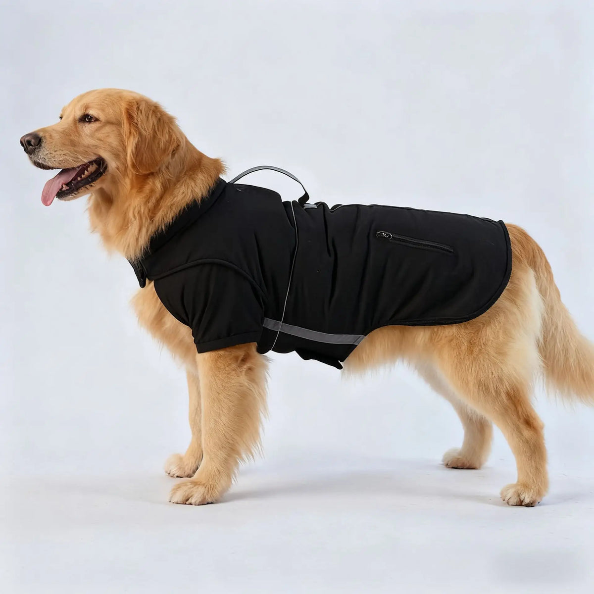 Pet Winter Big Dog Clothes Thickened Warm Polyester Casual Style Cotton-Padded Coat