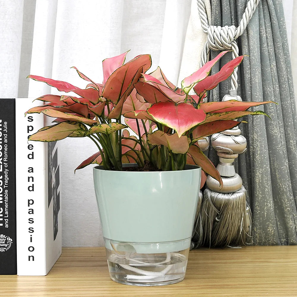 4Pack Bedroom Interior Self Watering Planter Easy Planters Indoor Plants Plastic Double