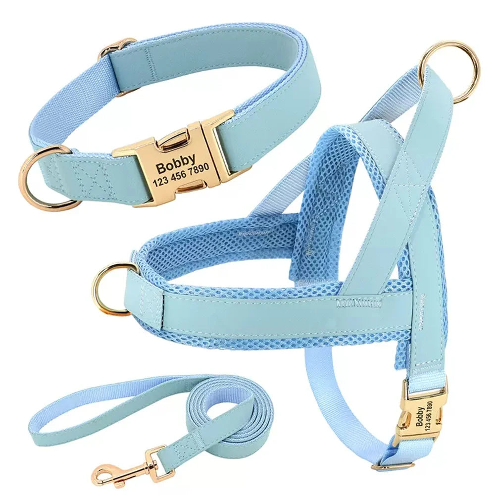 Fashion Dog Vest Harness No Pull Nylon Adjustable Mesh Padded Pet Harness and Leash Set