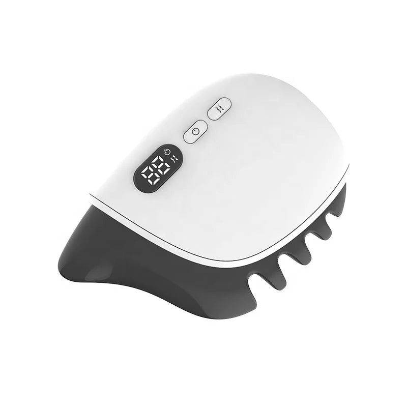 EBSM6 Electric Skincare Tools Jade Face Roller Gua Sha Set Slimming Led Face Massage Tool