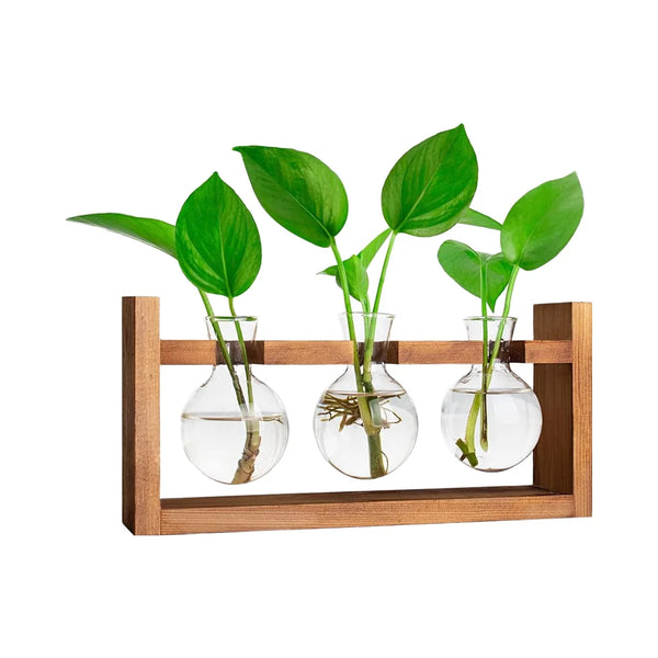 Classic Retro Solid Wooden Plant Propagation Station Eco-Friendly Hydroponics 3 Bulbs
