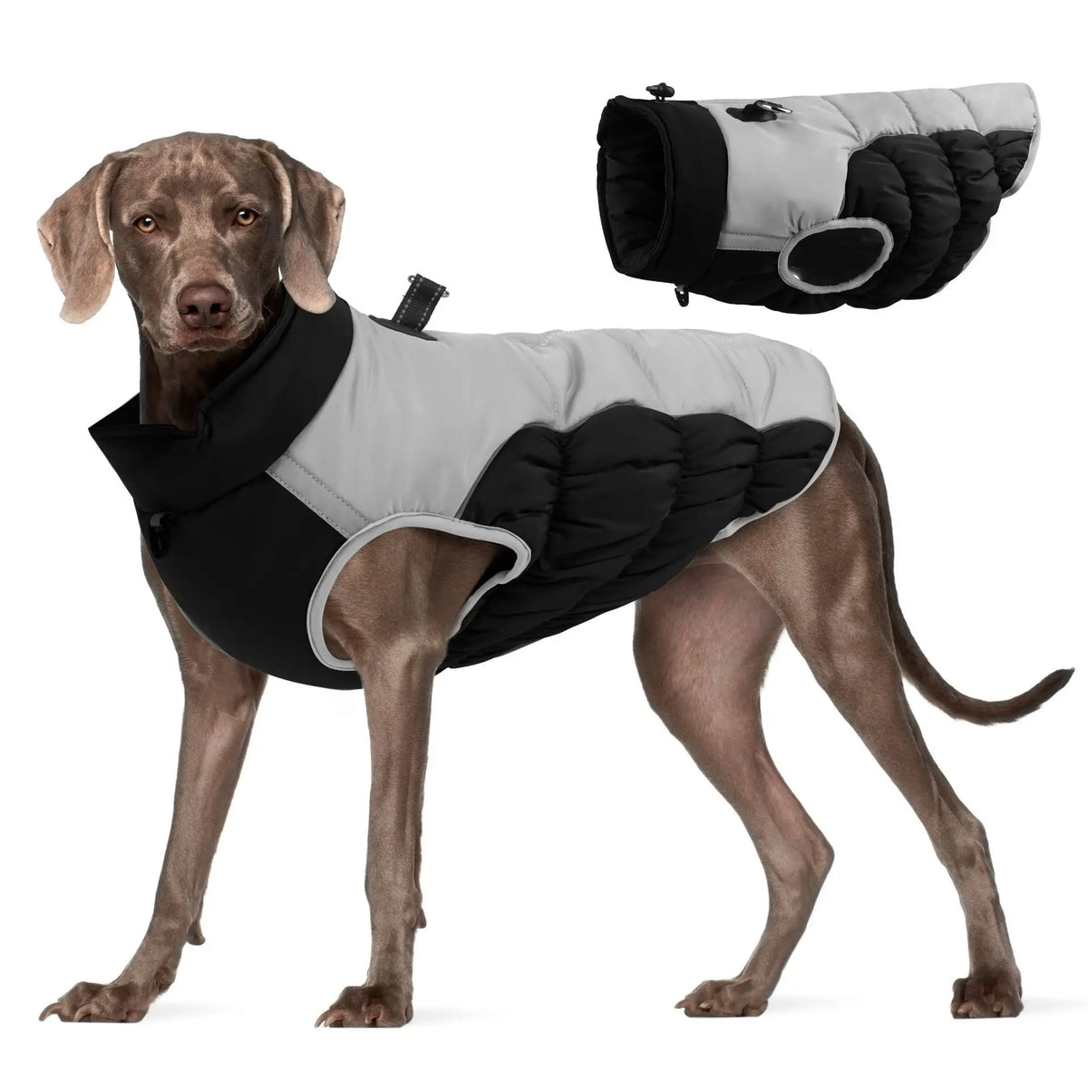 Zheng Xin Warm Winter Polyester Dog Coat Waterproof Jacket Vest Reflective Puppy Apparel