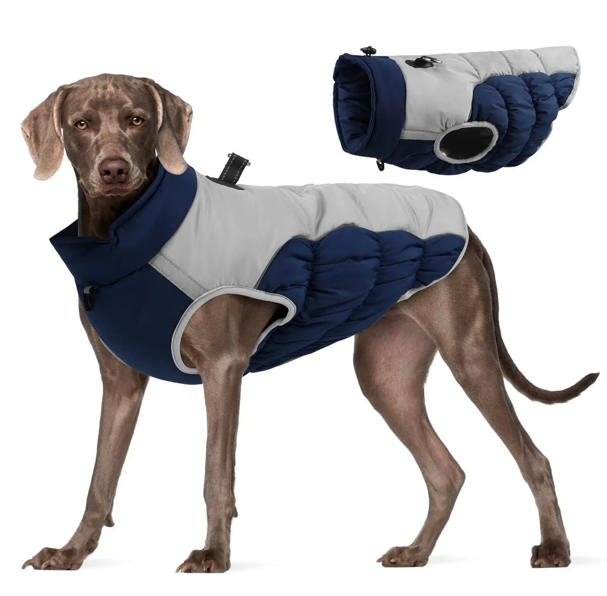 Zheng Xin Warm Winter Polyester Dog Coat Waterproof Jacket Vest Reflective Puppy Apparel