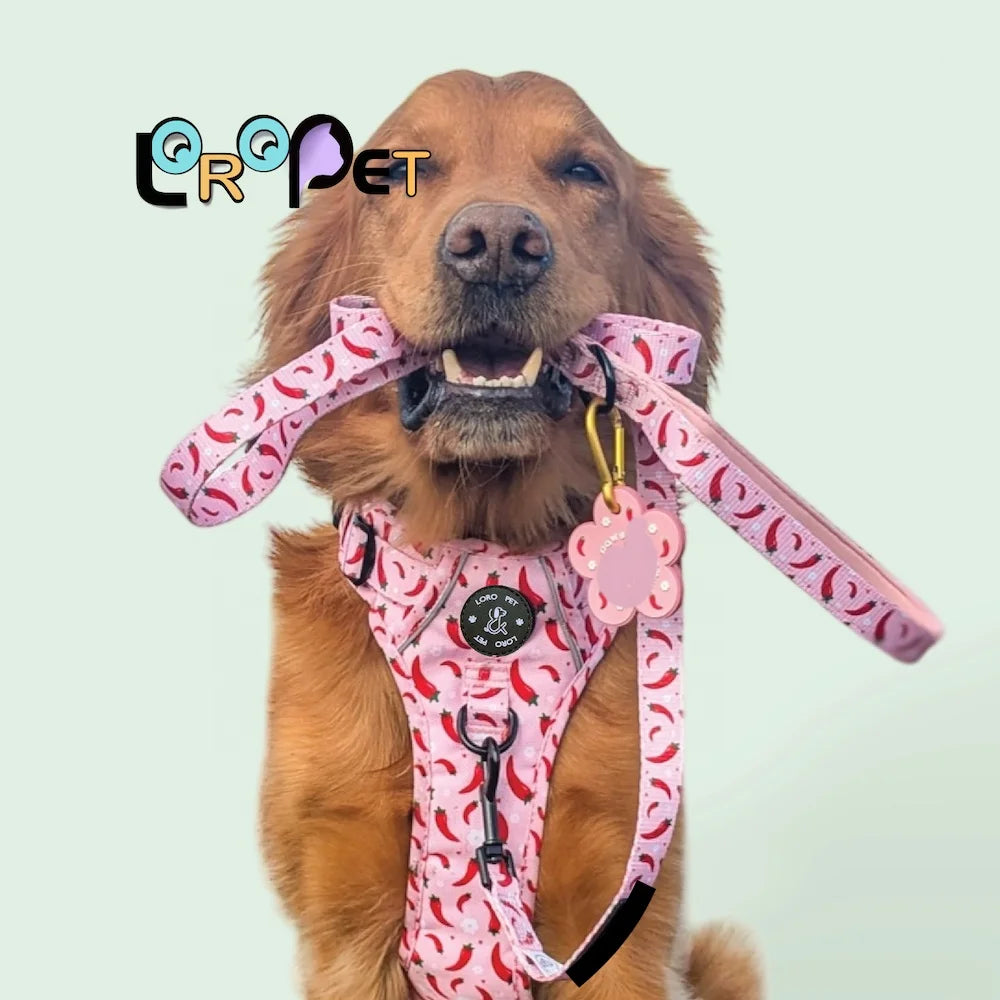 Reflective Oxford Nylon Dog Harness with Handle in Solid Colors