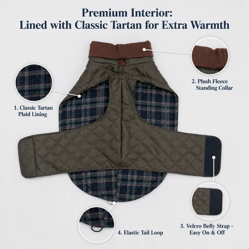 Quilted Dog Winter Coat Padded High Collar Warm Waterproof Windproof Fleece Lined Cape