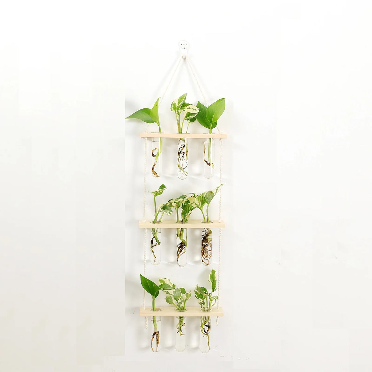Glass Propagation Station with Wooden Stand for Hanging