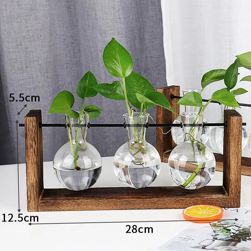 Plant Propagation Station Plant Terrarium with Wooden Stand for Plant Lovers Home Office