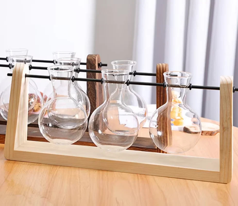 Plant Propagation Station Plant Terrarium with Wooden Stand for Plant Lovers Home Office