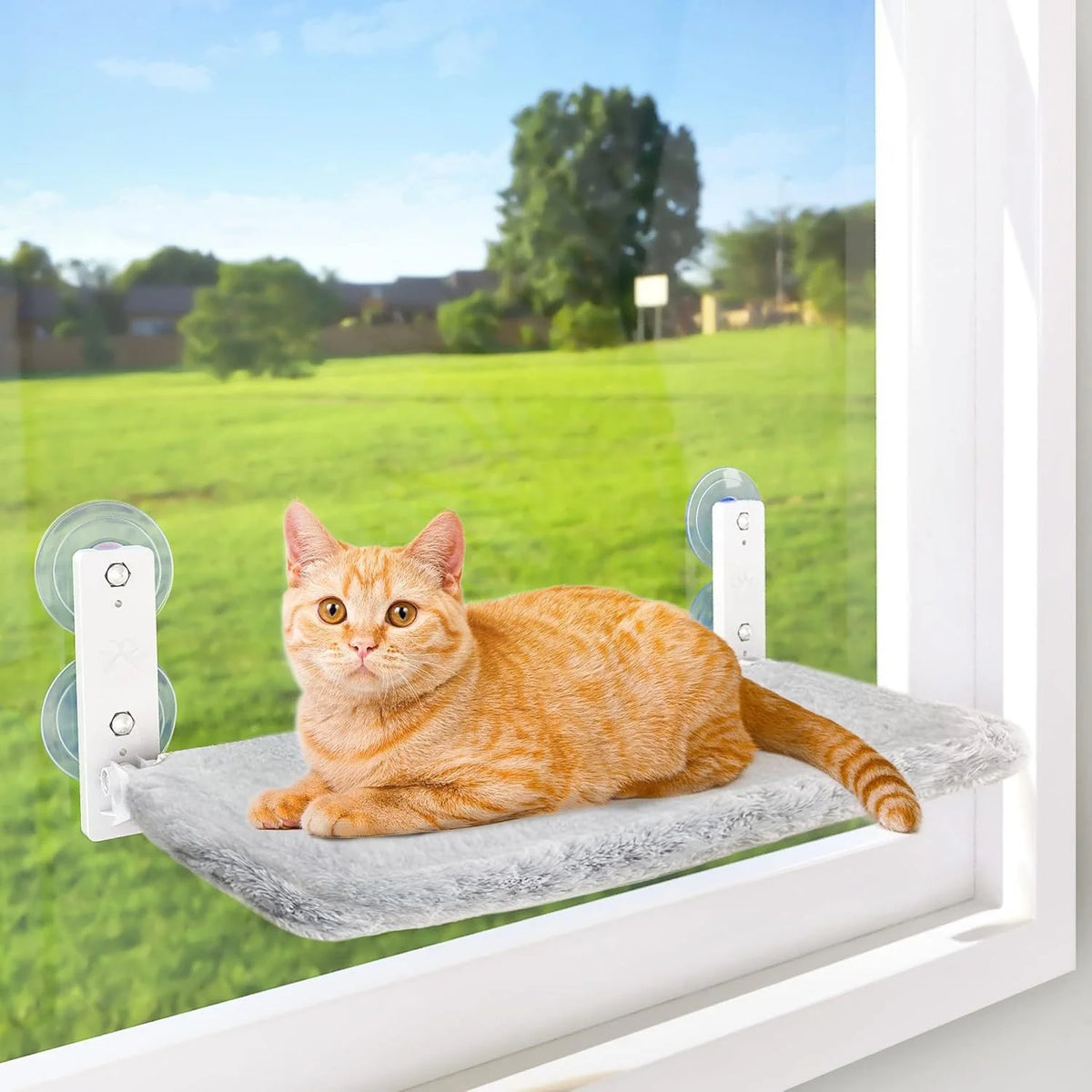 Luxury Square Winter Cat Window Perch Bed with Suction Cups Plush Hammock for Comfortable