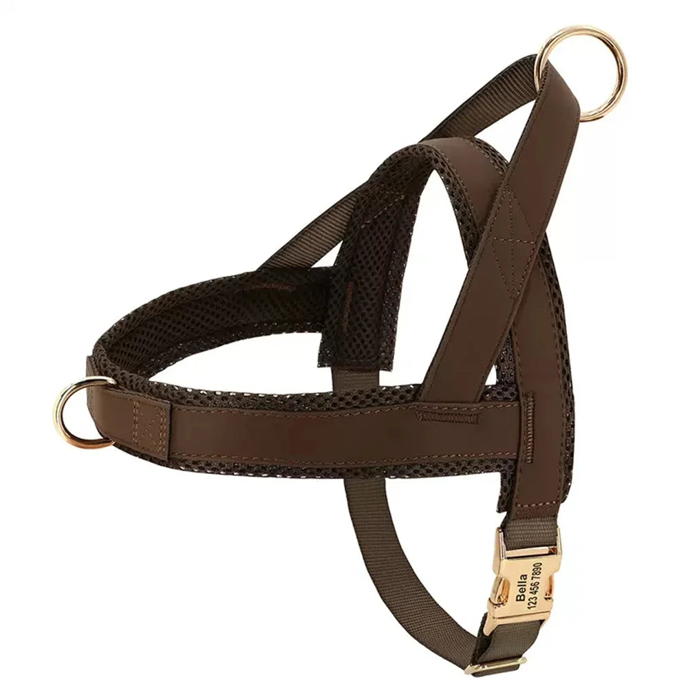 Fashion Dog Vest Harness No Pull Nylon Adjustable Mesh Padded Pet Harness and Leash Set