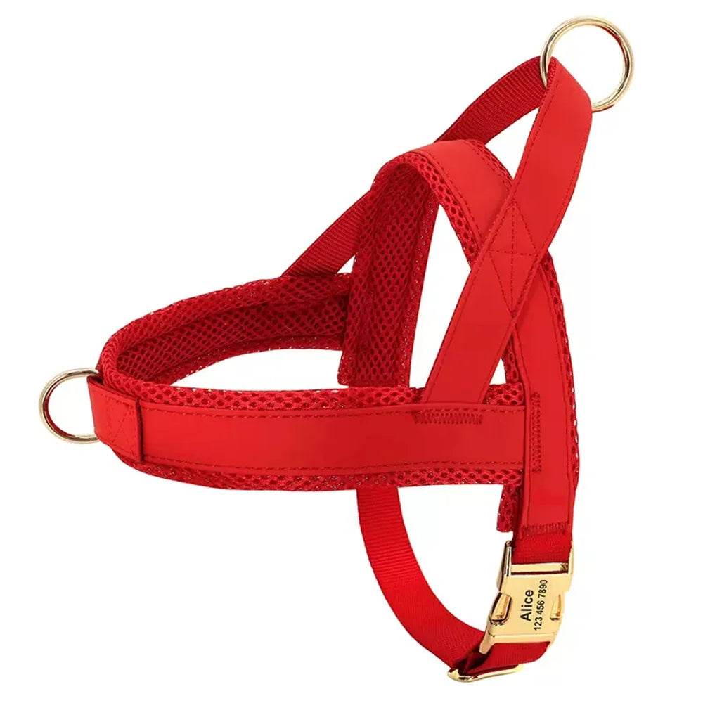 Fashion Dog Vest Harness No Pull Nylon Adjustable Mesh Padded Pet Harness and Leash Set
