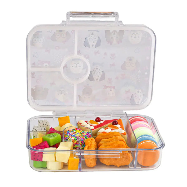 School-Grade Leak-Proof 5 Compartment Bento Box BPA-Free Food Grade Lightweight Lunch Box