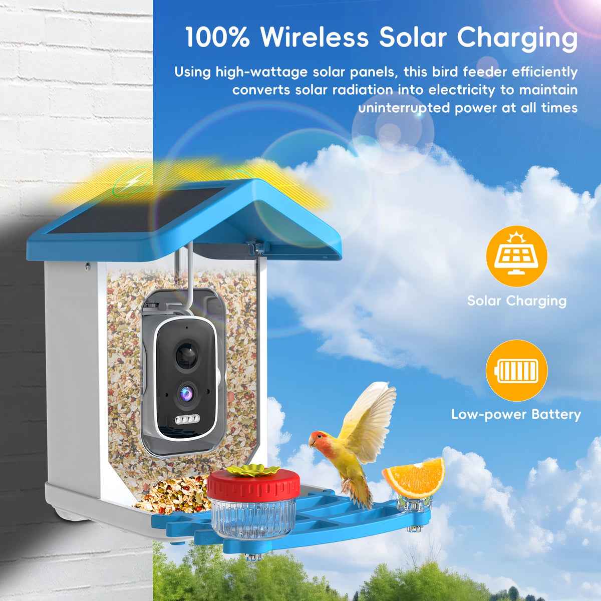 Smart Solar Bird Feeder With 5MP Night Vision Cam Auto Bird Video Recording APP Monitor