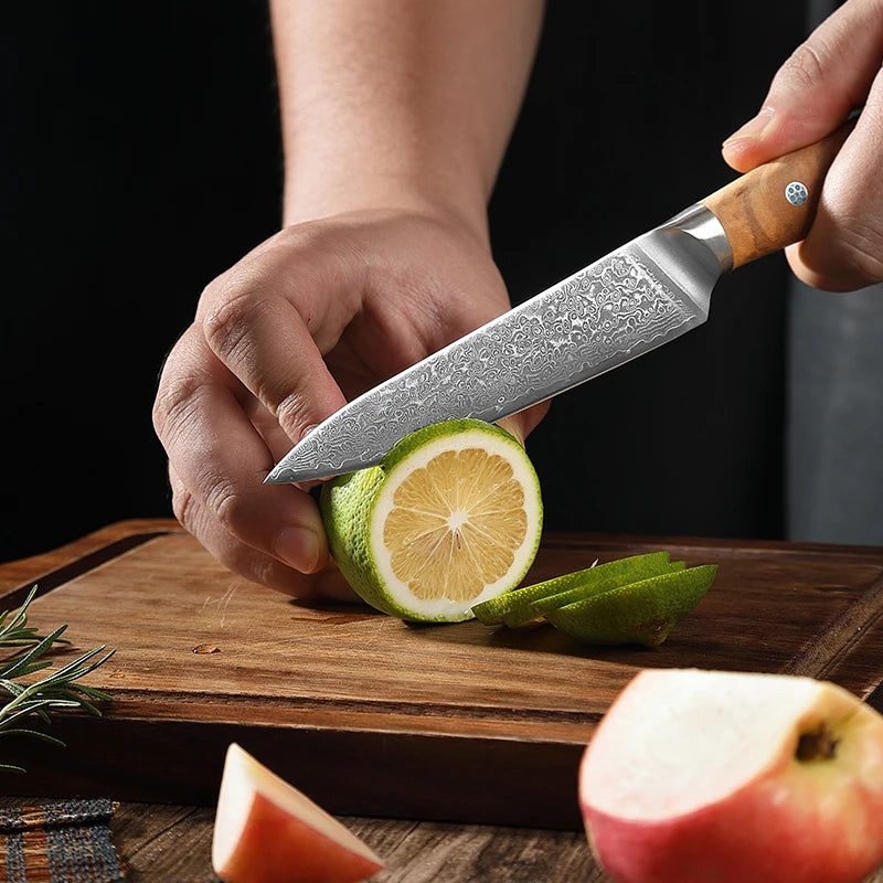 Professional Damascus 8inch Chef Knife Set VG10 Steel With Kiritsuke Santoku Paring