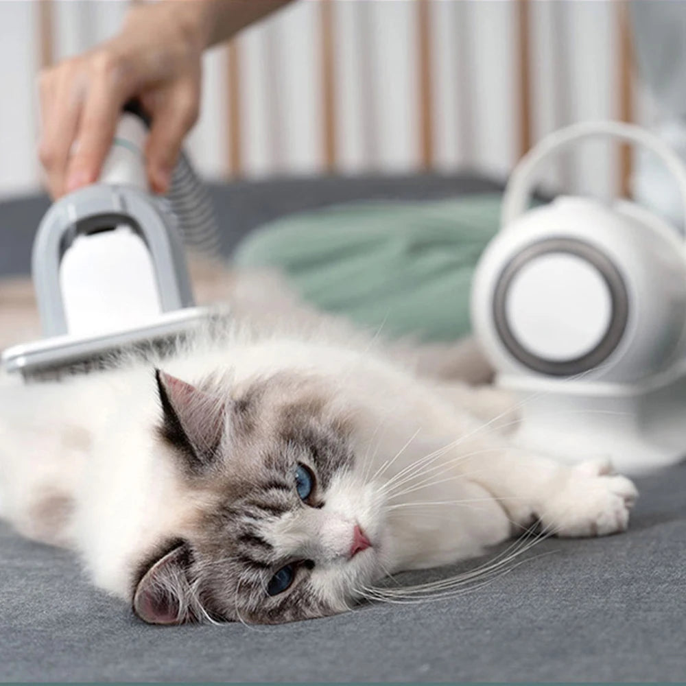 Dog And Cat Brush Electric Pet Hair Grooming Clipper Vacuum Cleaner Kit