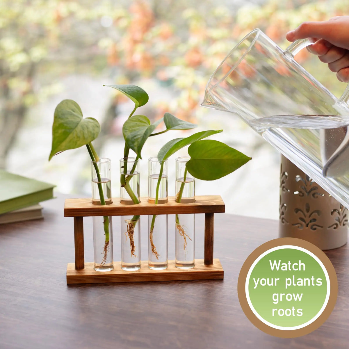 D'Eco Set 4 Glass Plant Propagation Tubes Wooden Display Hydroponics Grow Station