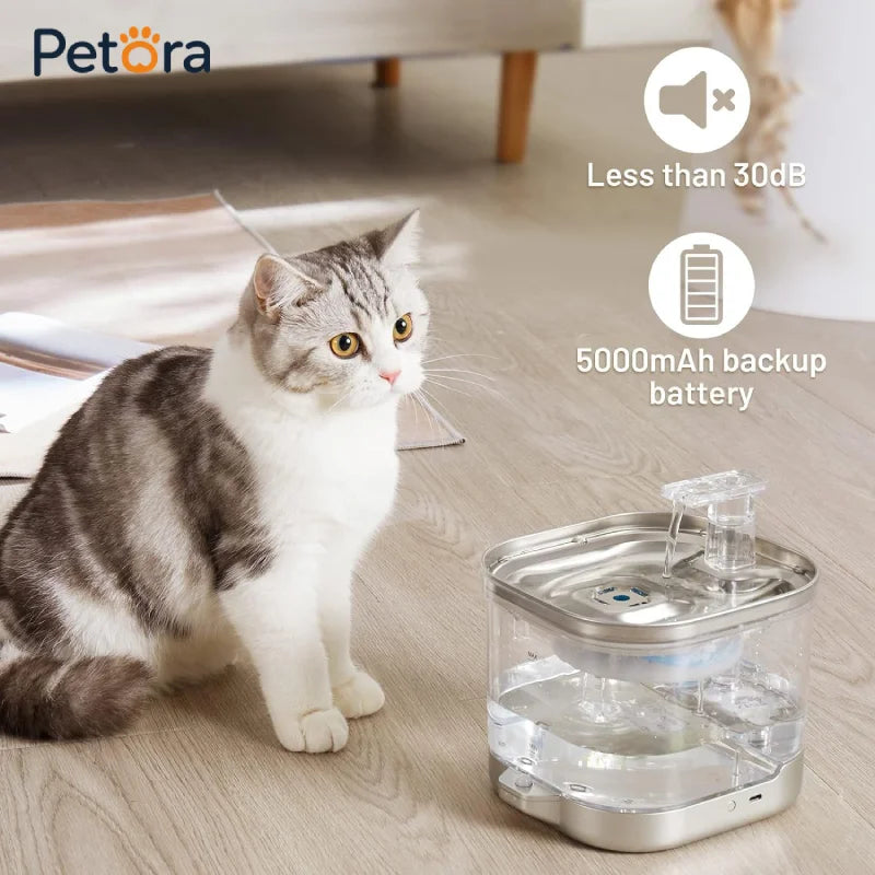 Quiet Cat Water Fountain 2L with Visible Tank and Automatic Water Flow