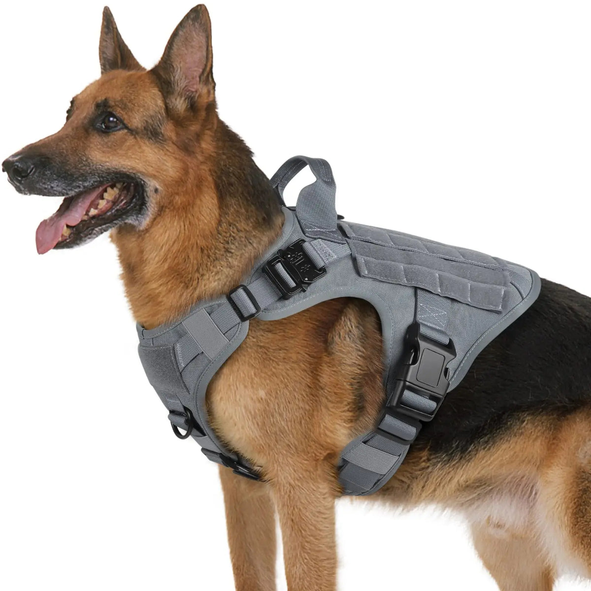 Large Size No-Pull Service Adjustable Dog Vest Harness for Training Hunting