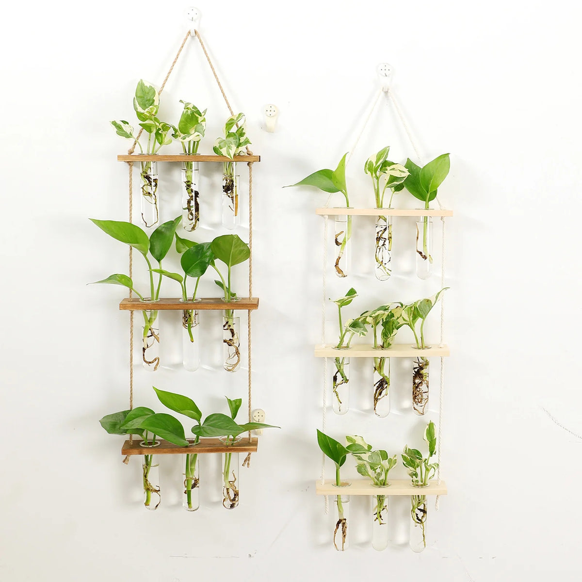 Glass Propagation Station with Wooden Stand for Hanging