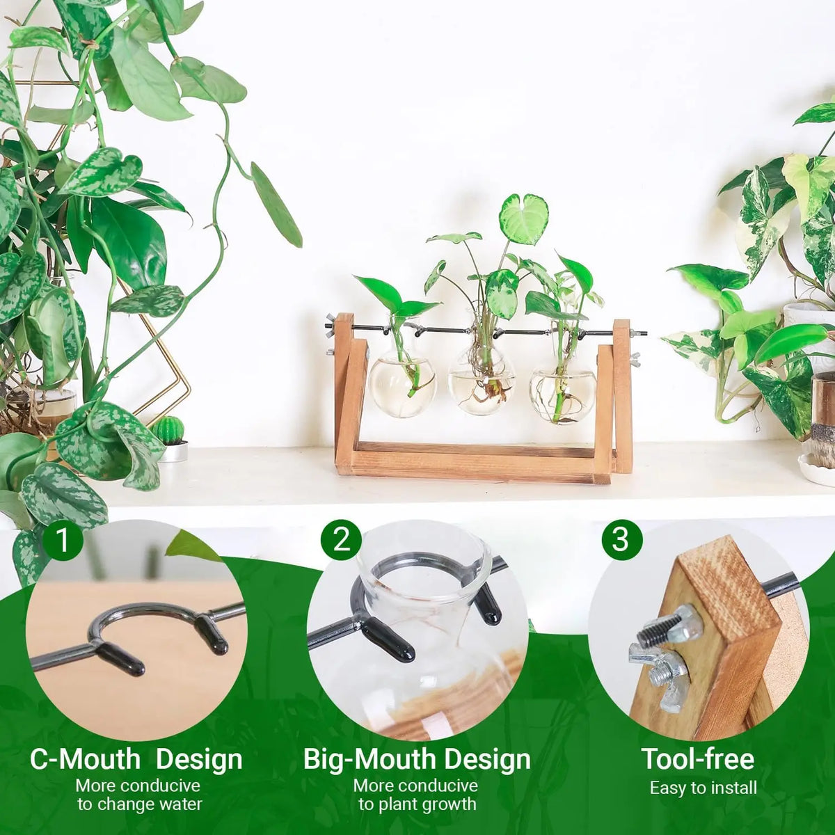 Flower/Green Plant Vietnam Propagation Stations with Pine Wood Stand Eco-Friendly Round