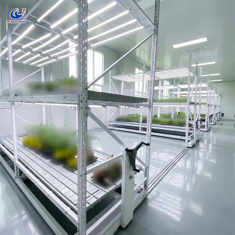 Chenchao Hydroponic System with ABS Trays, Vertical Propagation Rack and Greenhouse
