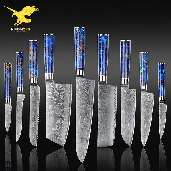 Professional 9PCS Japanese Damascus Steel Chef Knife Set 67 Layers VG10 Core Pinecone