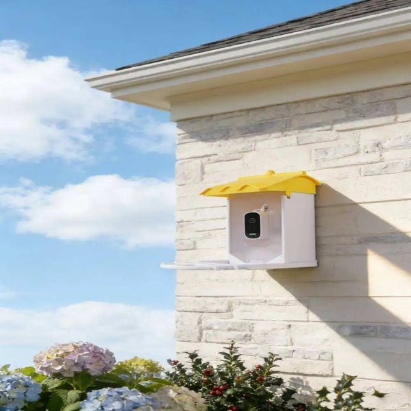 Smart Bird Feeder AI Bird Recognition 4MP HD Camera-Solar Powered IP65 2.4G WiFi Infrared